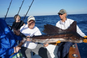 Sailfish Caught 3 Miles off-shore trolling in Jupiter FL